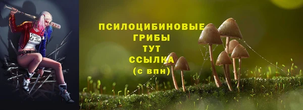 альфа пвп Гусь-Хрустальный