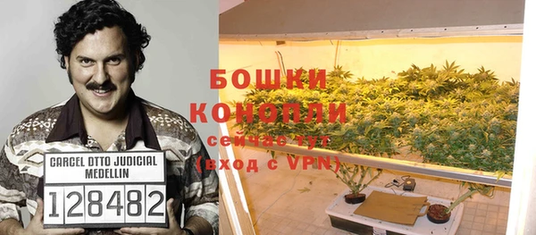 альфа пвп Гусь-Хрустальный