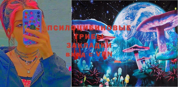 мдпв Горнозаводск