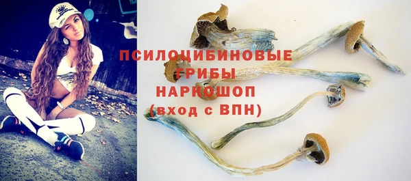 альфа пвп Гусь-Хрустальный