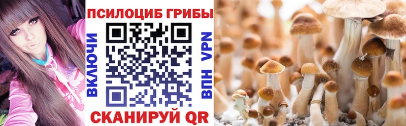 Галлюциногенные грибы ЛСД  Купить закладки  Вихоревка 